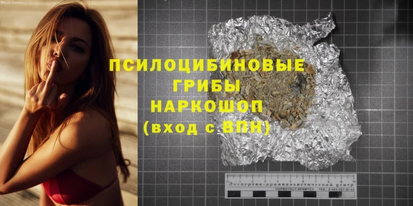 крисы Алексин