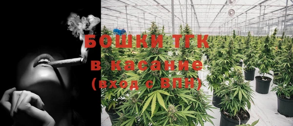 крисы Алексин