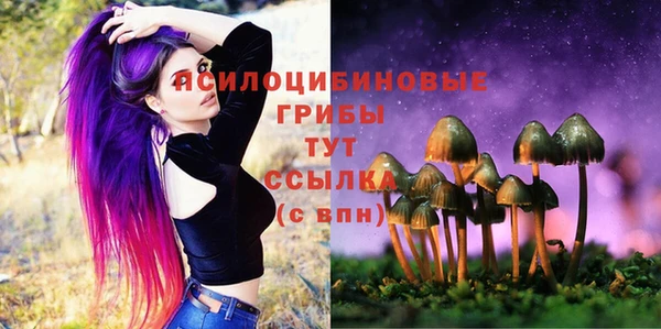 круглые Алексеевка
