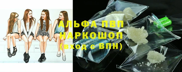 крисы Алексин