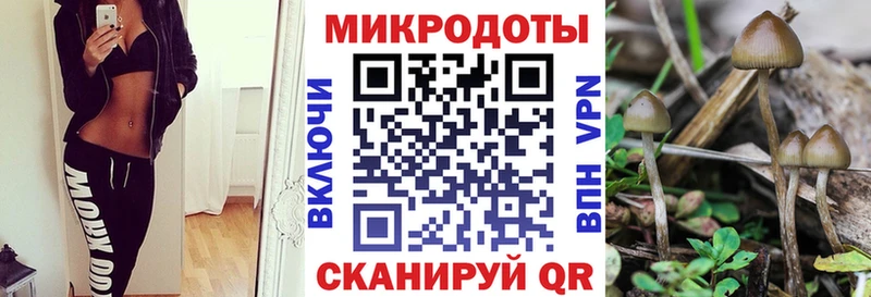 Псилоцибиновые грибы ЛСД  кракен как зайти  Цимлянск 